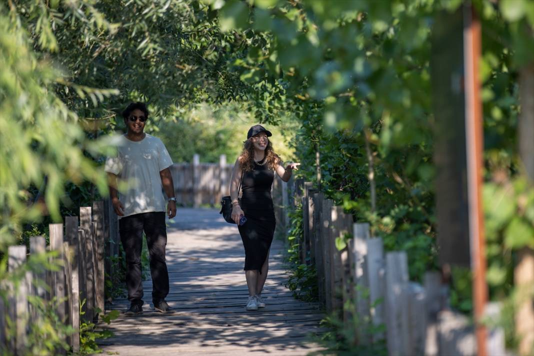 Türkiye’nin en büyük tek parça subasar ormanı 5